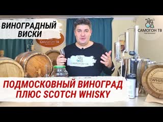 Виноградный виски подмосковный виноград плюс scotch whiskey 45% мягкая настойка с отличным усом