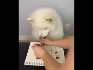 Shoob plays tic tac toe