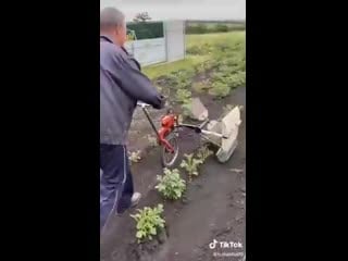 Изобретатель (vhs video)