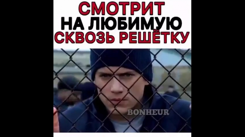 Auff смотрит на любимую 🔐