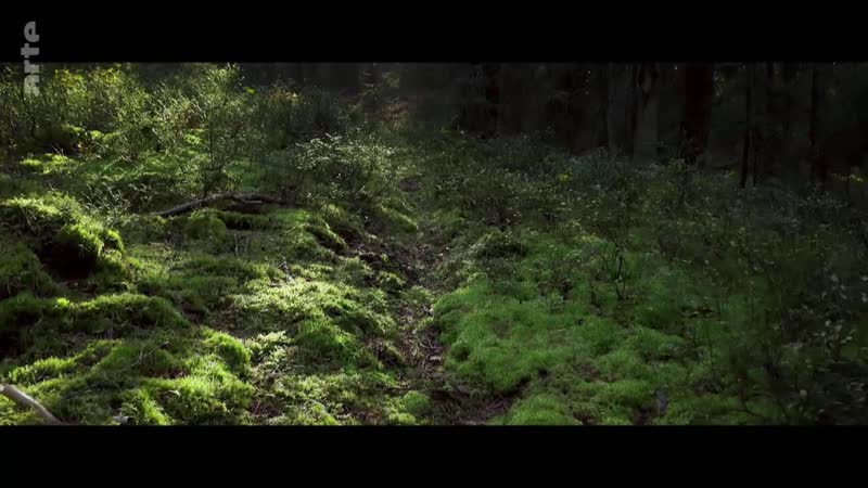 Unterwegs im hohen norden schweden