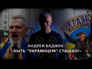 О пикейных жилетах