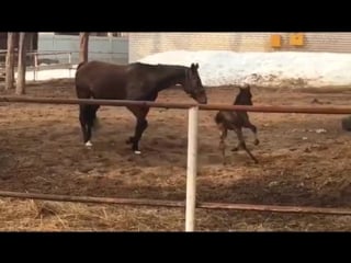 Trim 5a7755bd 1388 423d ad40 d3f98331bb39