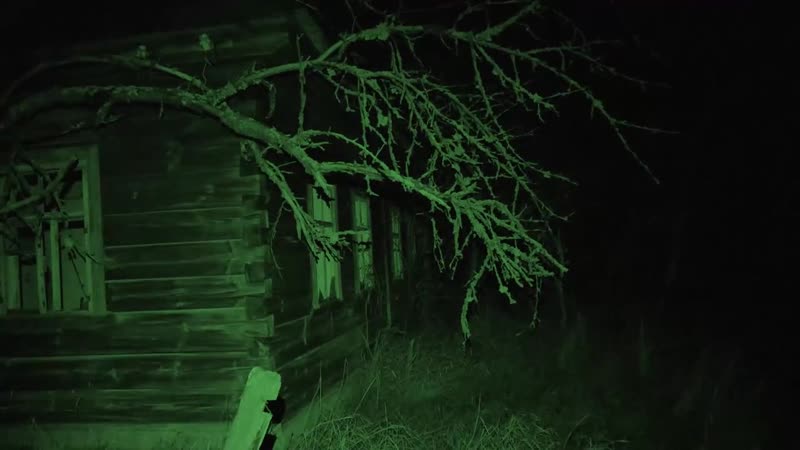 [влад резнов] оставил скрытые камеры на ночь в чернобыле что нам удалось заснять в зоне отчуждения?