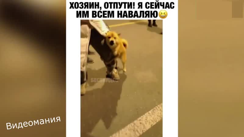 Испуган, но не сломлен