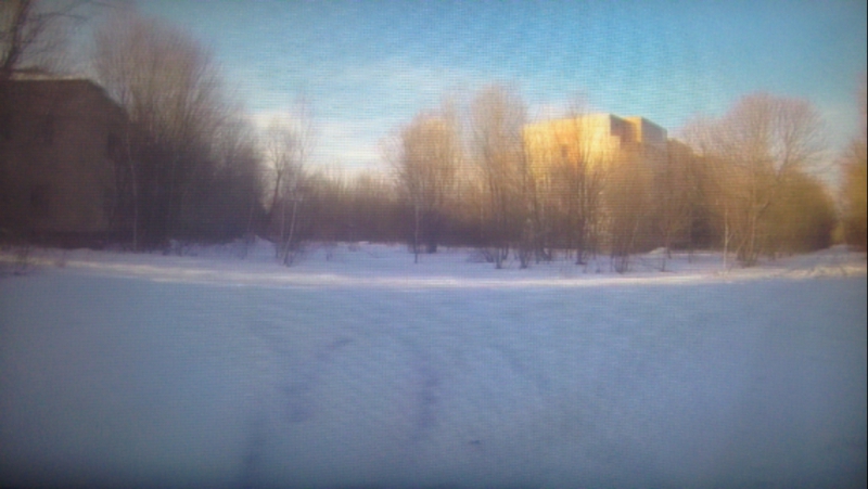 >припять< live