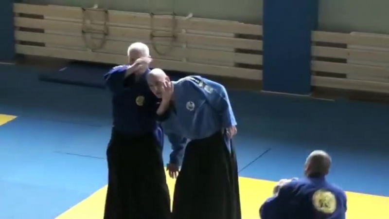 Реал айкидо любомир врачаревич и бранко бресчанский