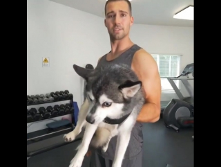 On instagram james maslow changed it up today and curled some fox’s instead of weights might not be the best way to work out, b