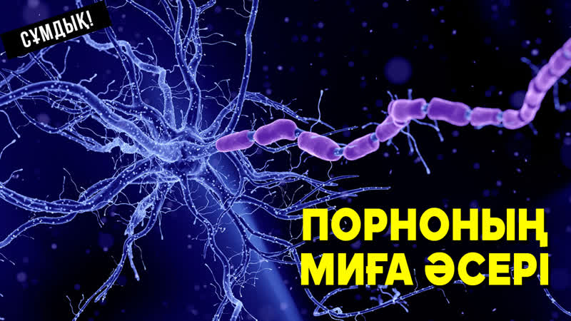 Порноның қауіпі ᴴᴰ (сұмдық!)