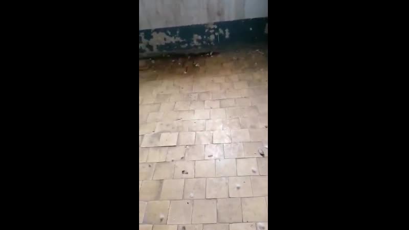 В одном из подъездов солигорска