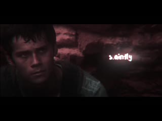 The maze runner ; newtmas vine