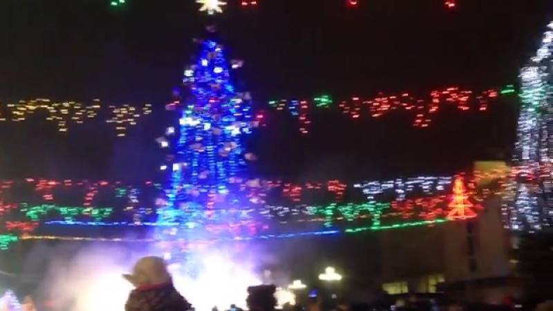 У рівному засяяла головна новорічна ялинка міста!