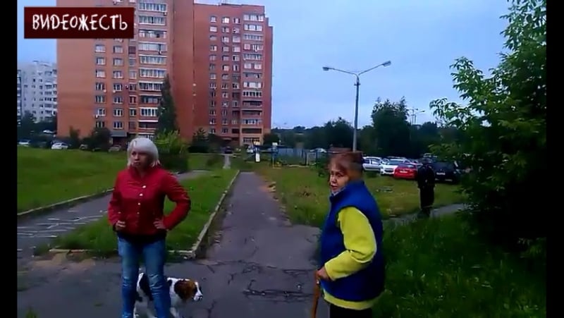 Быдло во фрязино © видеожесть