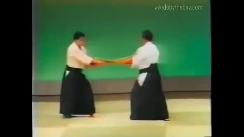 Iwama aikido demonstration