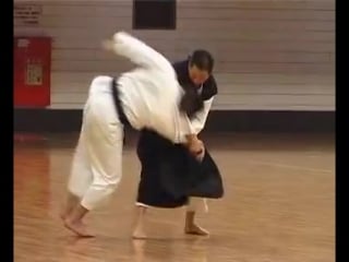 Demonstration of shorinji kempo