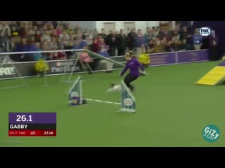 Турбопёс [gizy fun]