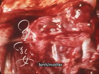 Birth/mother / 垂乳女 (2006) dir naomi kawase