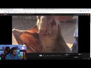 [hard play] hard play смотрит зомби чез 8 жутких существ в метро