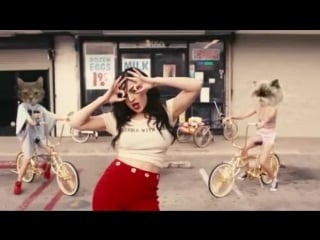 Превью клипа «drop that kitty»