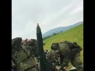 Looks like the bundeswehr