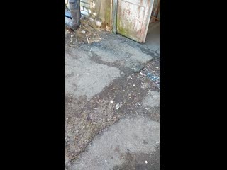 Vid 20190403 164348 mp4