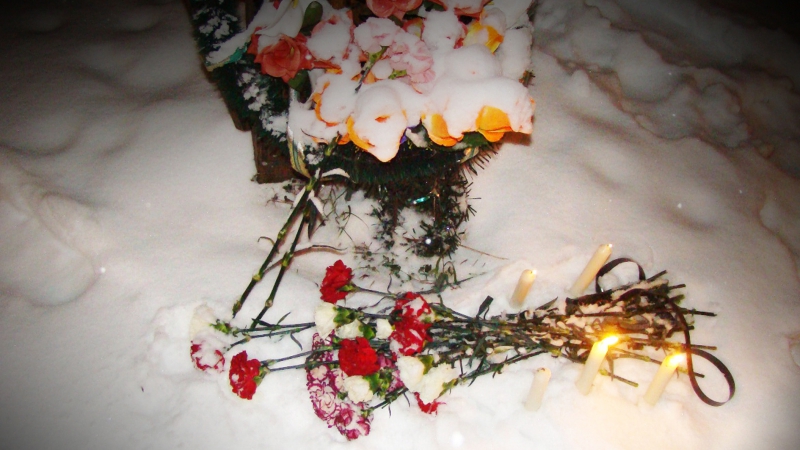 Георгий шишков если мы не объединимся, нас могут убить по одному