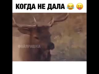 Focus videos 20200521 3 mp4