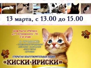 Киски ириски (13 марта 2016)