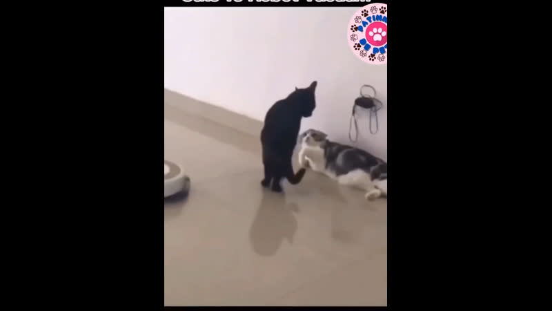 Восстание роботов против шерстяных