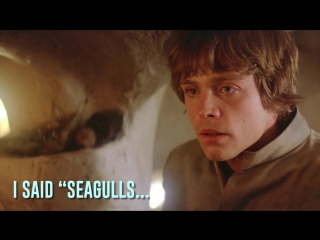 Star wars seagulls! (stop it now)