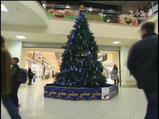 Самая большая шоколадная елка украины millennium