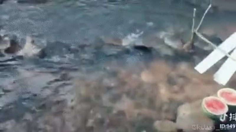 Инженеры отдыхают