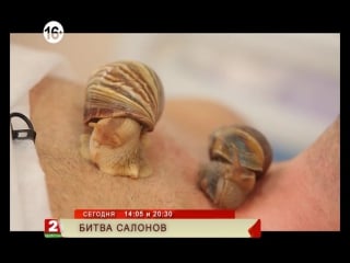 Битва салонов