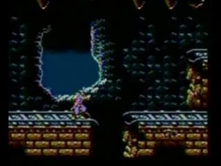 Avgn ninja gaiden(rus)