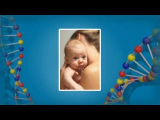 Биология 10 класс урок 42 онтогенез индивидуальное развитие организма