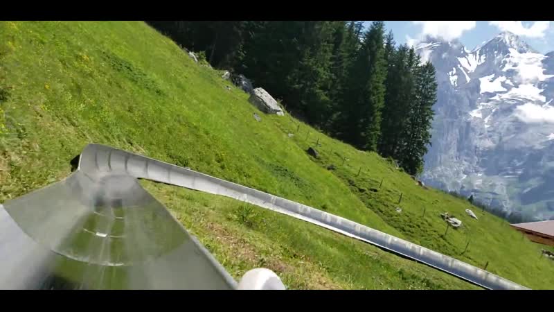 Because porn video – I hiked up because i only only had the money for one toboggan ride or the gondola up and down i made the right choice