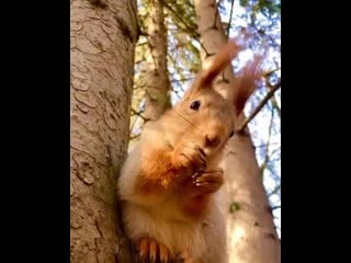 Margarita petrosyants 20200824 5 mp4