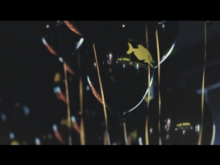 18 года бару killfish 03 06 2017