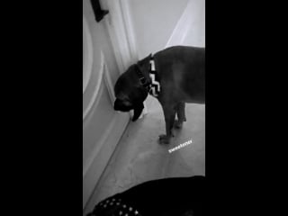 Отрывок "sweetener" (instastories #158)