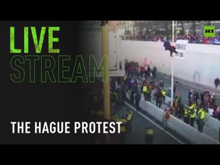 Climate protest in the hague