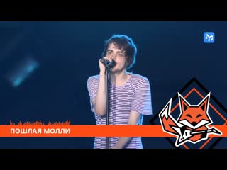 Пошлая молли | fox rock fest | | live