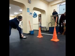 Аджилити с ириной ефремовой 06 03 21