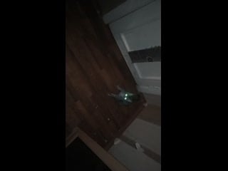 /storage/9c33 6bbd/dcim/camera/