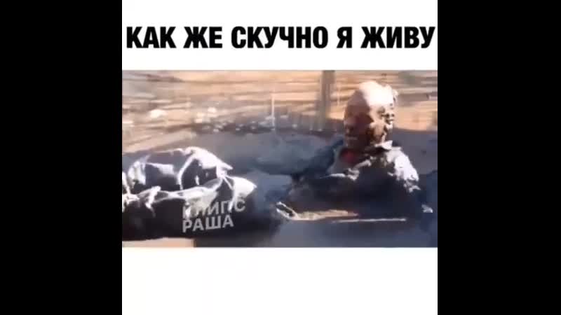 <a href="tg//resolve?domain=@fun vidos" rel="nofollow">@fun vidos</a>