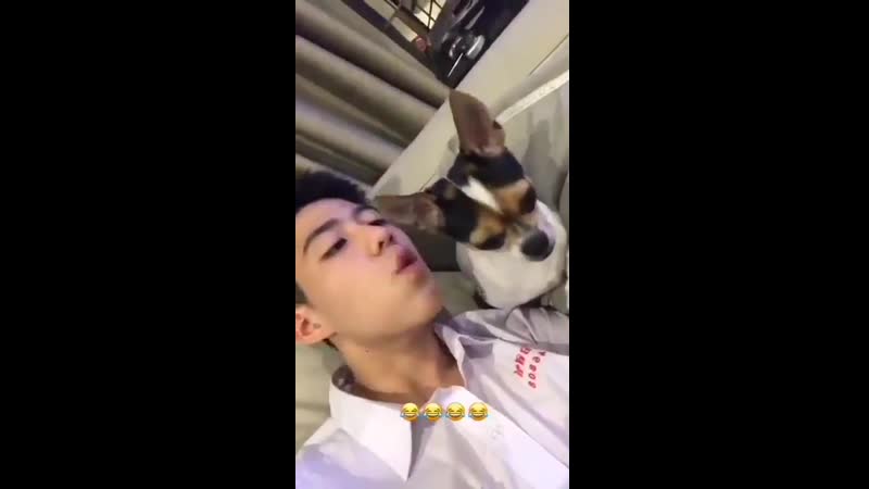 Пипи и пёсик 2