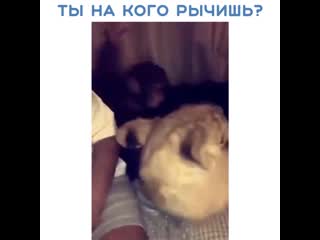 Лежи и не дергайся