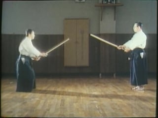 Takagi yoshin ryu minaki den