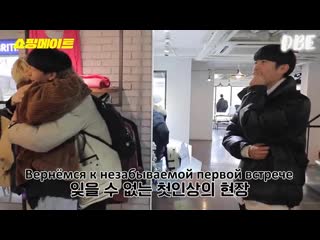 Dingo shopping mate with penomeco