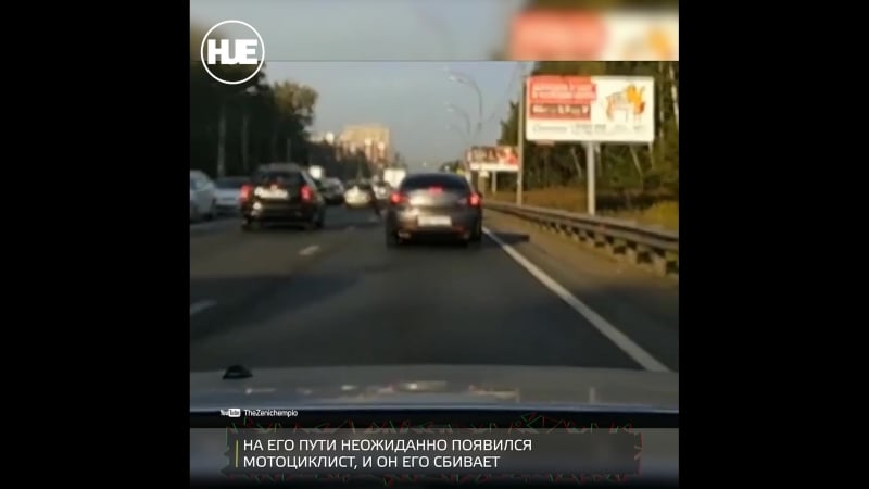 Лось в балашихе попал под колеса мотоциклиста