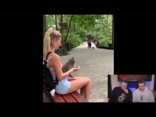 Засмеялся проиграл гена букин